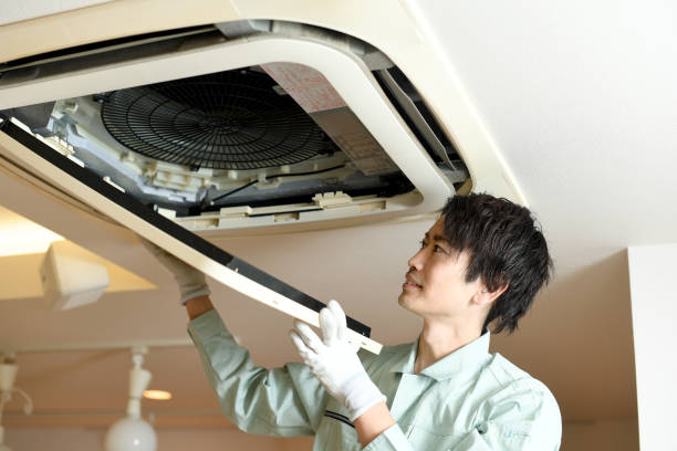 Best Professional Duct Cleaning Services  in Hartley, IA